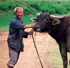小型飼料顆粒機,農(nóng)民圓夢！